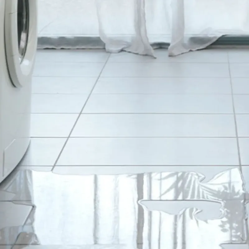 Appliance Leak Cleanup in Tornillo, TX