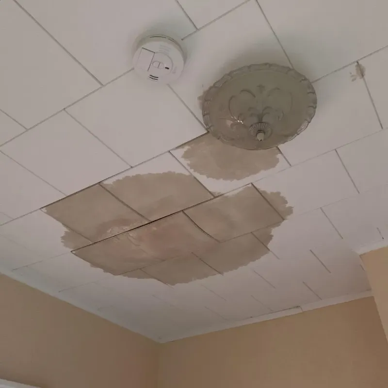 Ceiling Water Damage Repair in Tornillo, TX