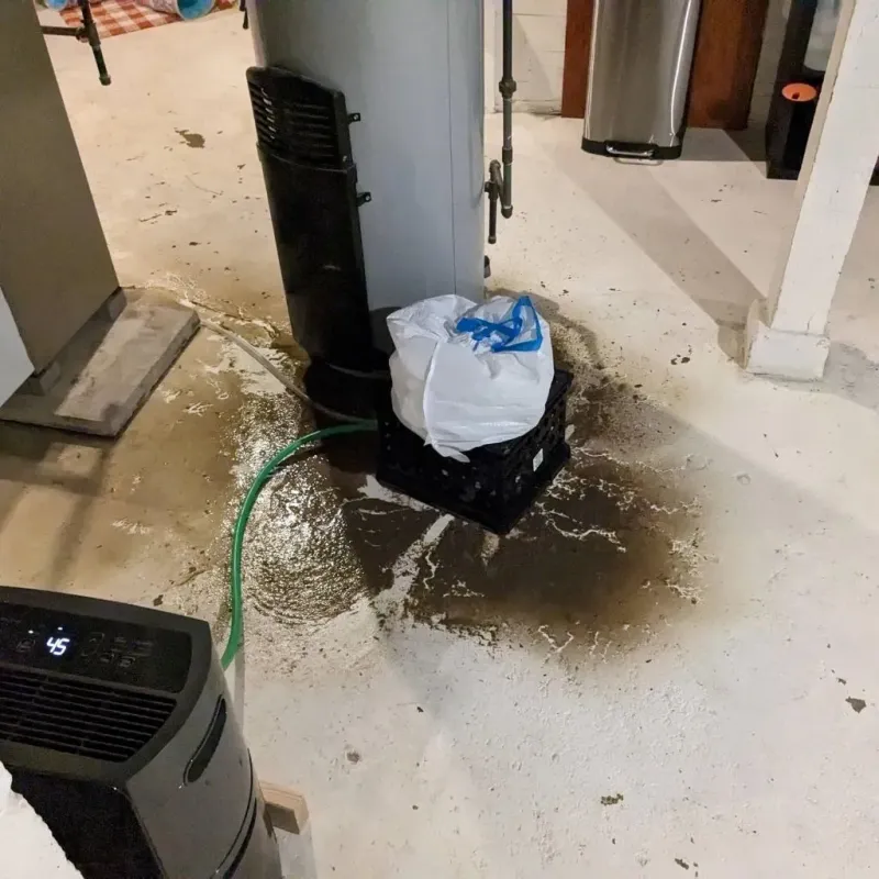 Sewage Backup Cleanup Service in Tornillo, TX